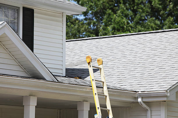 Best Steel Siding Installation  in Oakland, NE